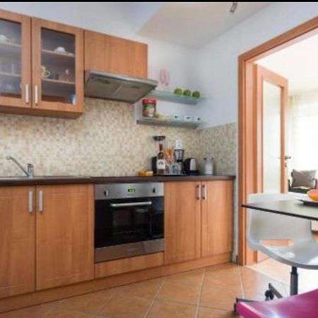 Old Town Apartment Pellicova 布尔诺 外观 照片