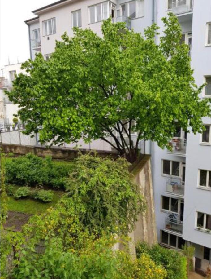 Old Town Apartment Pellicova 布尔诺 外观 照片