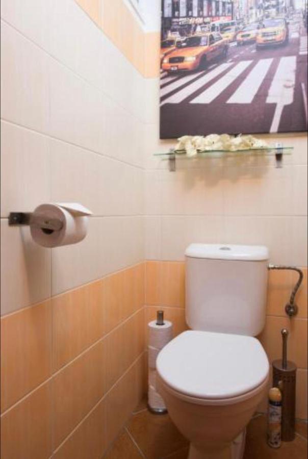Old Town Apartment Pellicova 布尔诺 外观 照片