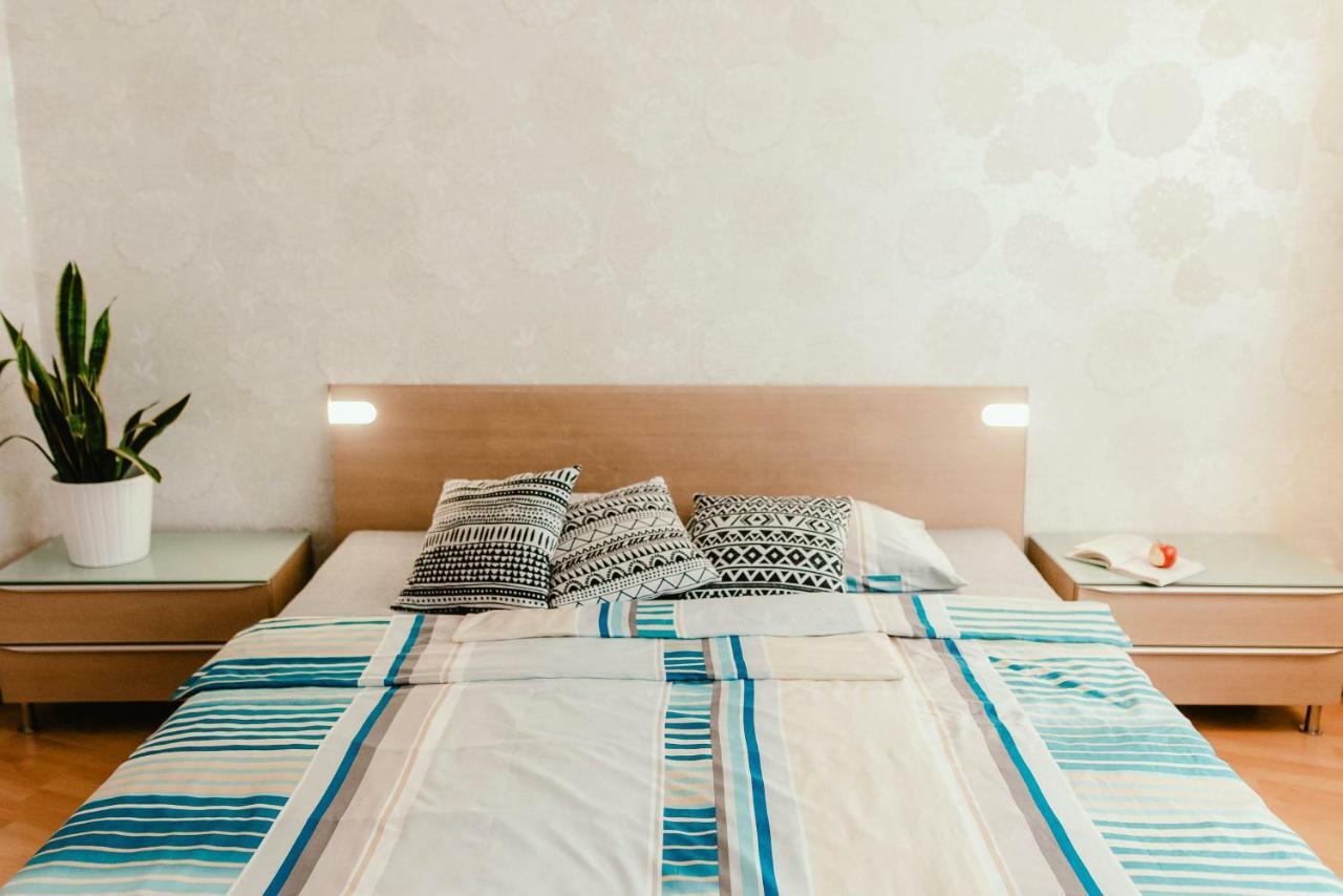 Old Town Apartment Pellicova 布尔诺 外观 照片