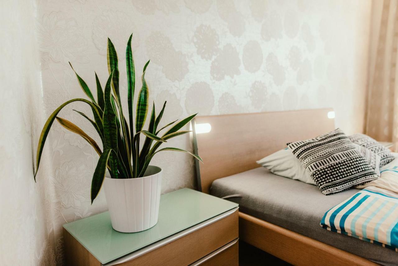 Old Town Apartment Pellicova 布尔诺 外观 照片