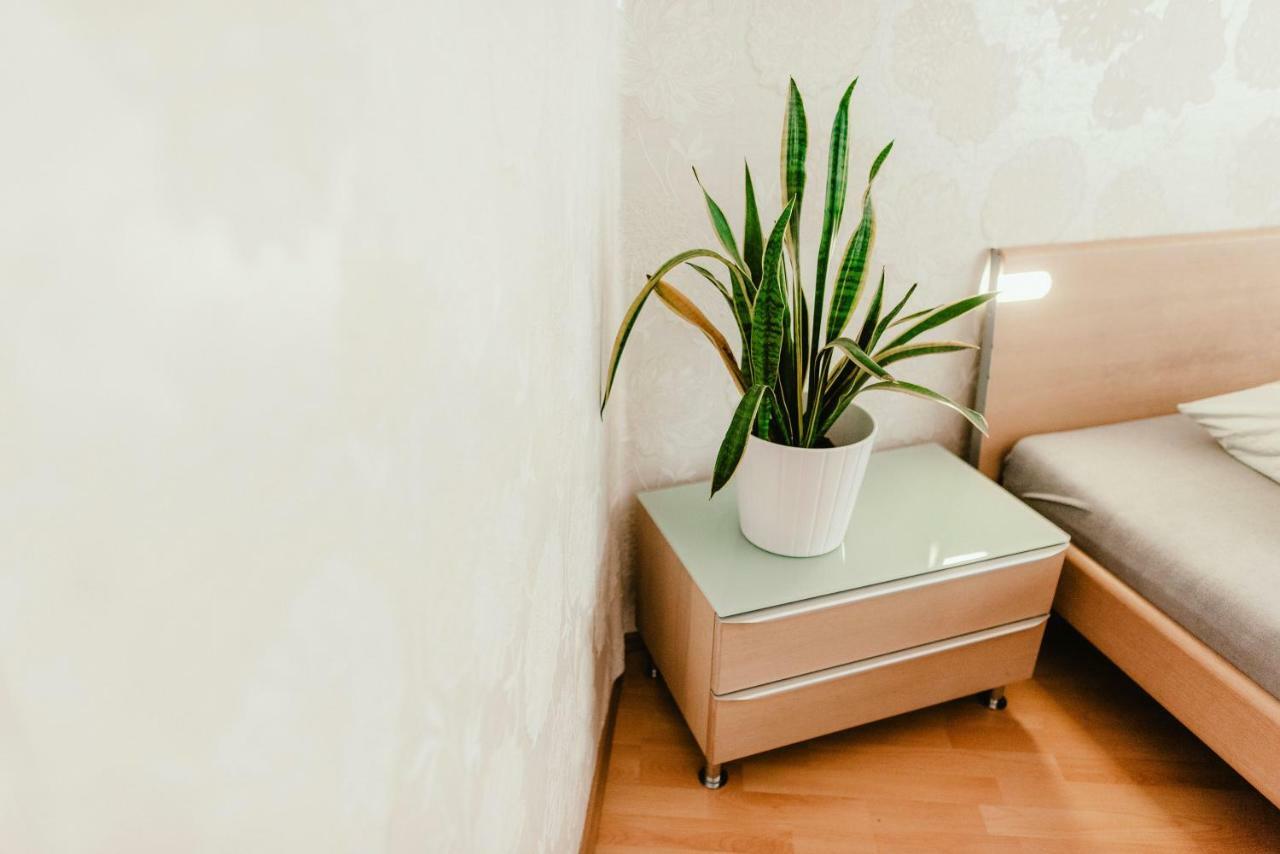 Old Town Apartment Pellicova 布尔诺 外观 照片