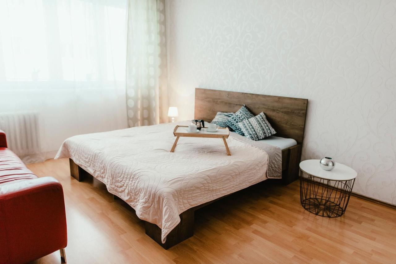 Old Town Apartment Pellicova 布尔诺 外观 照片