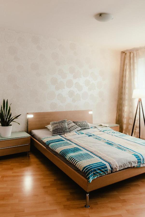 Old Town Apartment Pellicova 布尔诺 外观 照片