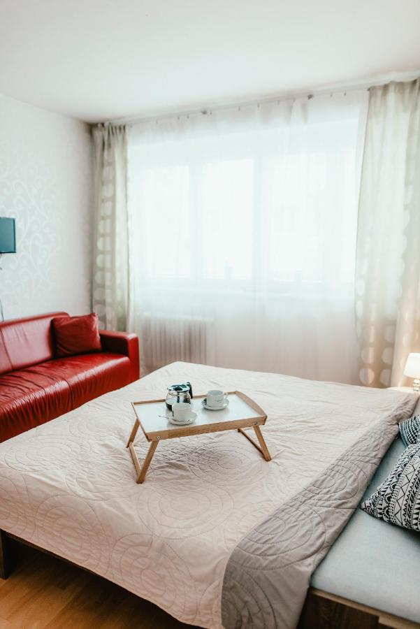 Old Town Apartment Pellicova 布尔诺 外观 照片