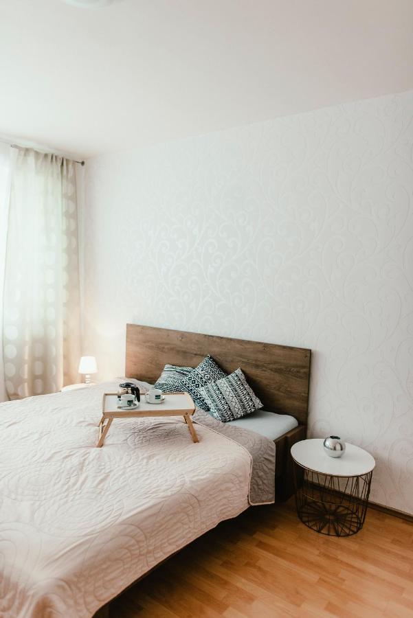 Old Town Apartment Pellicova 布尔诺 外观 照片